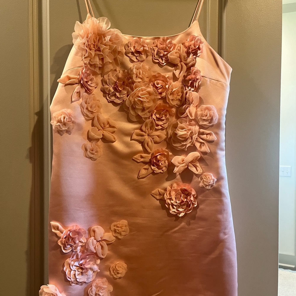 Love Shack Fancy Satin Mensa Mini Dress Size 6 Rose Appliqués - Picture 3 of 11